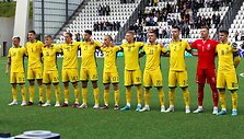 Lietuvos futbolo rinktinė