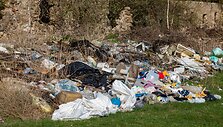 Keliasde&scaron;imt metų Asvejos ežero pa&scaron;onėje veikiantis nelegalus sąvartynas 