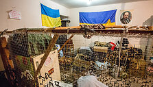 Moterys pina maskuojamuosius tinklus kariams esantiems Ukrainos fronte