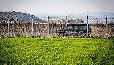 Idomeni pabėgėlių stovykla 