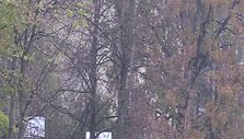 580e1a11457a9video_580e194475c29