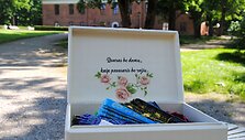 Dvaras be damų &ndash; kaip pavasaris be rožių