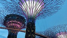 &bdquo;Gardens by the Bay&ldquo;