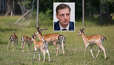 Kęstutis Mažeika