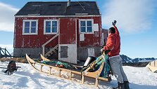 Inuitai