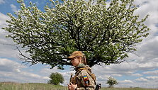 Ukrainos kariai