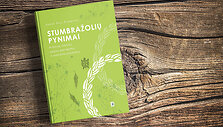 Stumbražolių pynimai