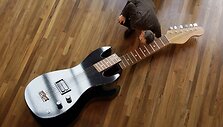 Gitaros formos karstas parodoje, kurioje buvo atrinkti įdomūs karstai i&scaron; Didžiosios Britanijos ir Ganos
