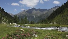 Austrija