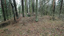 Paberžės piliakalnis