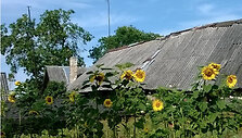 auksebuoze