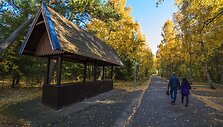 Saulėtas savaitgalis Nidoje
