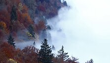 Rudens spalvos Europoje