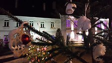 52 eglučių alėja &Scaron;ilutėje 
