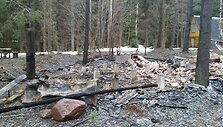 Vencavų poilsiavietė Dusetų seniūnijoje po gaisrų