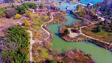 Ry&scaron;kiaspalvių pavasario žiedų i&scaron;margintas parkas Kinijoje i&scaron; oro