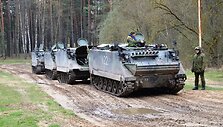 &Scaron;arvuočiai M 113