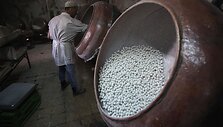 Saldainių fabrikas Palestinoje