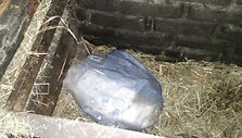 Sulaikyti kontrabandiniai rūkalai