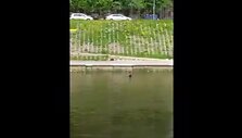 5731dc5263173video_5731dc519ce69