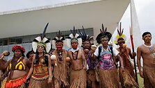 Brazilijoje strėlėmis ir lankais ginkluoti vietos genčių protestuotojai mėgino įsiveržti į Kongresą