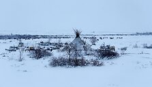 Nencai &ndash; &scaron;iaurės elnių augintojai i&scaron; Sibiro
