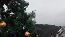 Vilniuje sužibo danguje i&scaron;keltos kalėdinės eglutės 