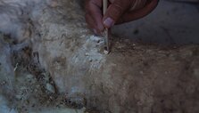 Paleontologai Meksikoje valo prie&scaron; metus rastus mamuto griaučius