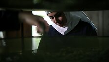 Marihuaną auginančios ir parduodančios vienuolės Kalifornijoje