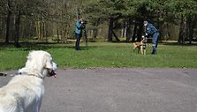 Klaipėdos kinologas su tarnybiniu &scaron;unimi
