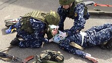 Lietuvos karinių jūrų pajėgų pratybos &bdquo;Kormoranas 2017&ldquo;