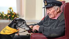 Geriausios praėjusių metų &scaron;unų nuotraukos