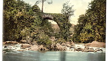 Airija 1890-1900 metais
