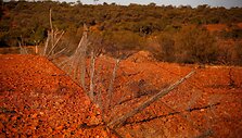 7 metus sausros kamuojamas Stounhendžas Australijoje