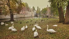 Briugė Belgijoje