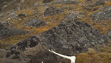 &Scaron;iauriausia Norvegijos vieta &ndash; Svalbardas