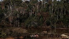Nelegaliai auksą kasančių brazilų bendruomenė