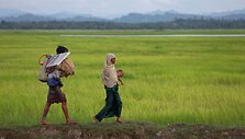 Persekiojami rohinjai i&scaron; savo &scaron;alies bėga į Banglade&scaron;ą