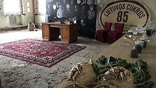 Marijampolės cukraus fabrikas