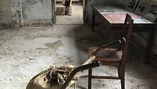 Marijampolės cukraus fabrikas