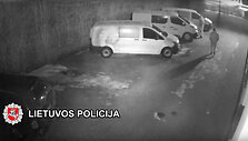 Automobilių vagystė Klaipėdoje