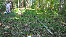 A.Ramanausko-Vanago palaikų identifikavimas