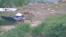 5b1a90fe93352video_5b1a90fcac075