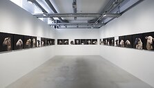 Nabil Boutros &bdquo;Ovine Condition (Celebrities)&ldquo; 2014 m.