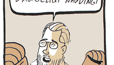 Mykolo Birži&scaron;kos komiksas.