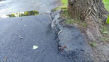 Rekonstrukcijos darbų Ramybės parke ir Kauko alėjoje brokas
