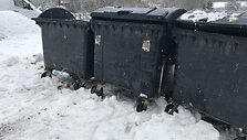 Atliekos &bdquo;Upytės&ldquo; sodų bendrijoje Kauno rajone
