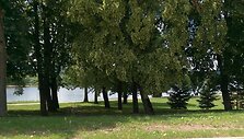 Vilkijos parkas, kur planuojama įrengti estradą