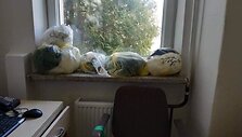 Gydytojų panaudotos vienkartinės priemonės Kauno klinikinėje ligoninėje