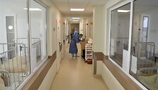 Stebėtojos darbas Kauno klinikinėje ligoninėje